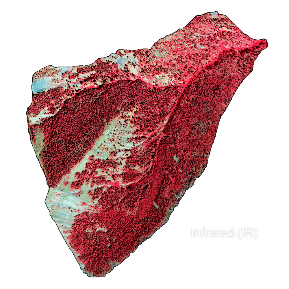 ZIKO Outdoors Infrared